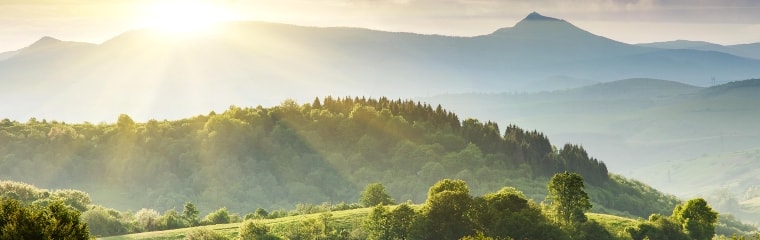 insoddisfazione giorno