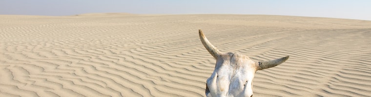 cambiamento: valle della disperazione