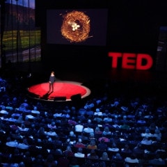 migliori TED talks