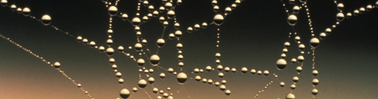 idee-imprenditoriali-puntini