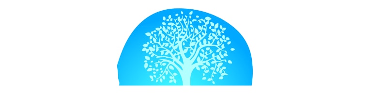 mentalita-dinamica-1