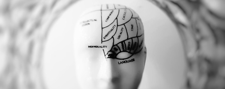 insoddisfatti-mente-modulare