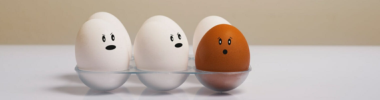 migliori cibi per lo studio