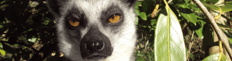 Da dove nasce noia Da dove nasce noia