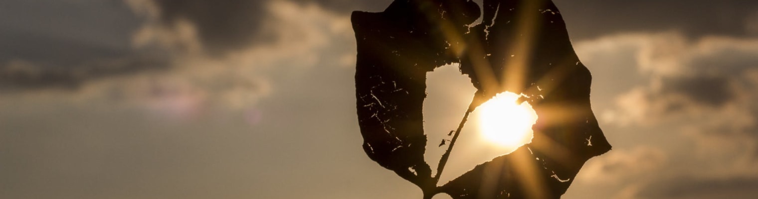 accettarsi-rimpianti