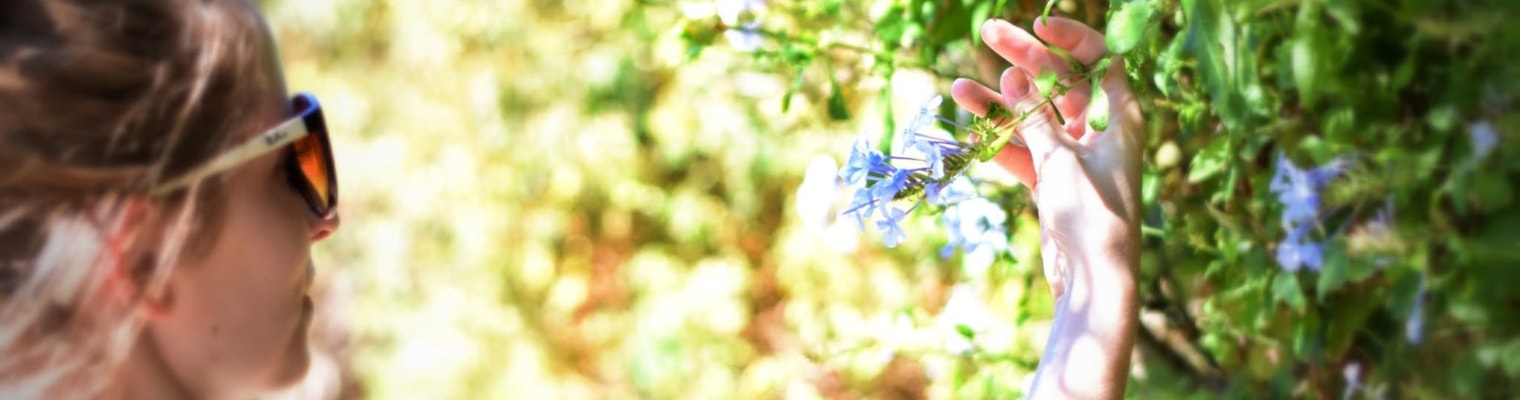 come divertirsi-presente