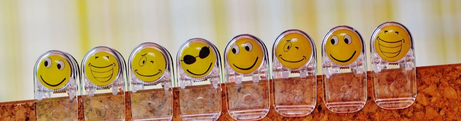 intelligenza emotiva-competenze