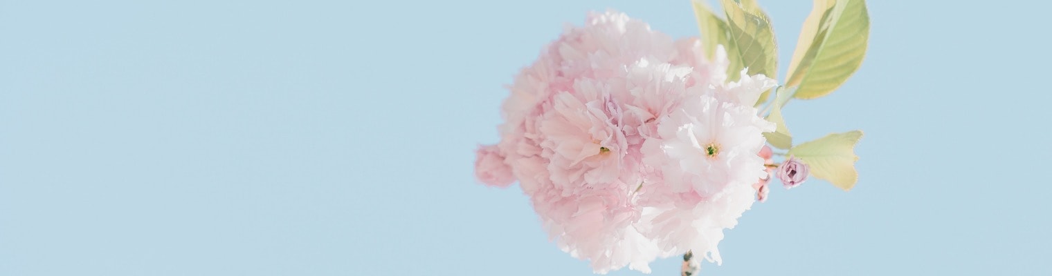 Stanchezza fisica e mentale Ritrova la tua energia