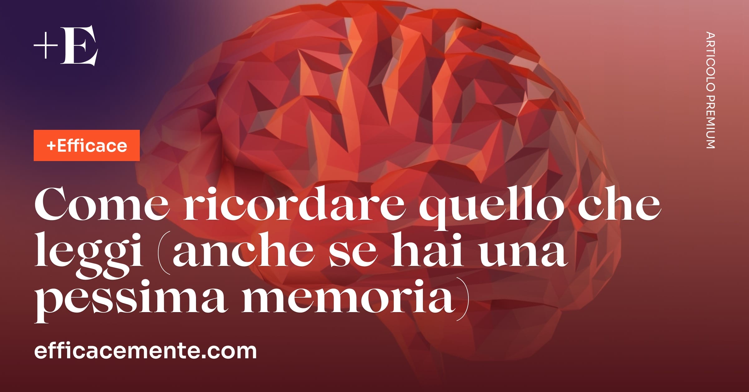 Come Ricordare Quello Che Leggi (anche se hai una pessima memoria
