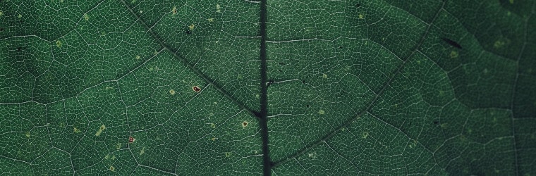 dettagli allenamento mentale