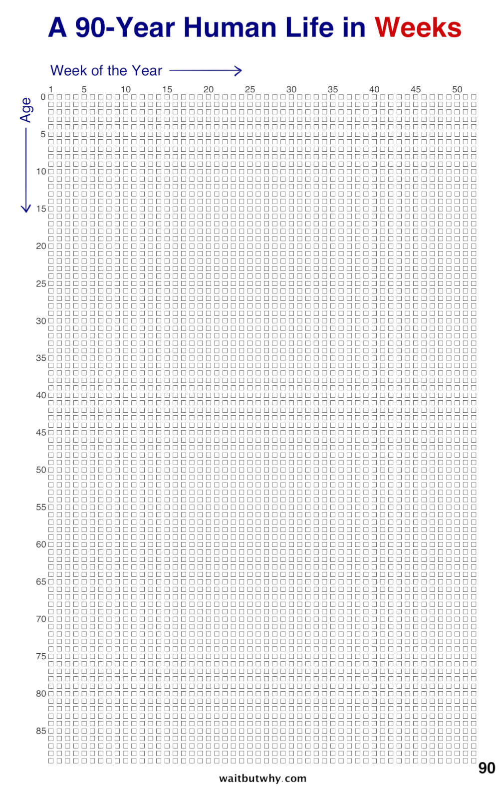 La tua vita in settimane