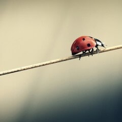 La Crescita Personale equilibrata