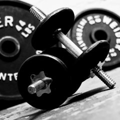 motivazione palestra