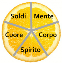 Spicchi Arancia Spicchi Arancia